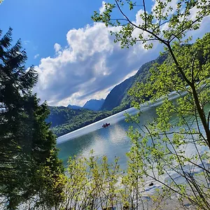 Alpen Sunshine Apartment