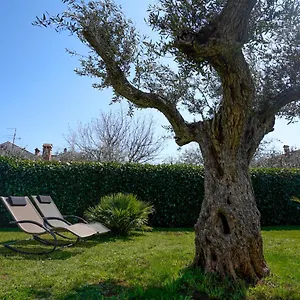 Palm View Apartment Rovinj